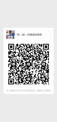 飞速体育官方线路